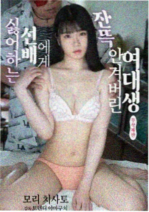 提莫影院纪实单元样本：候鸟补给站封面